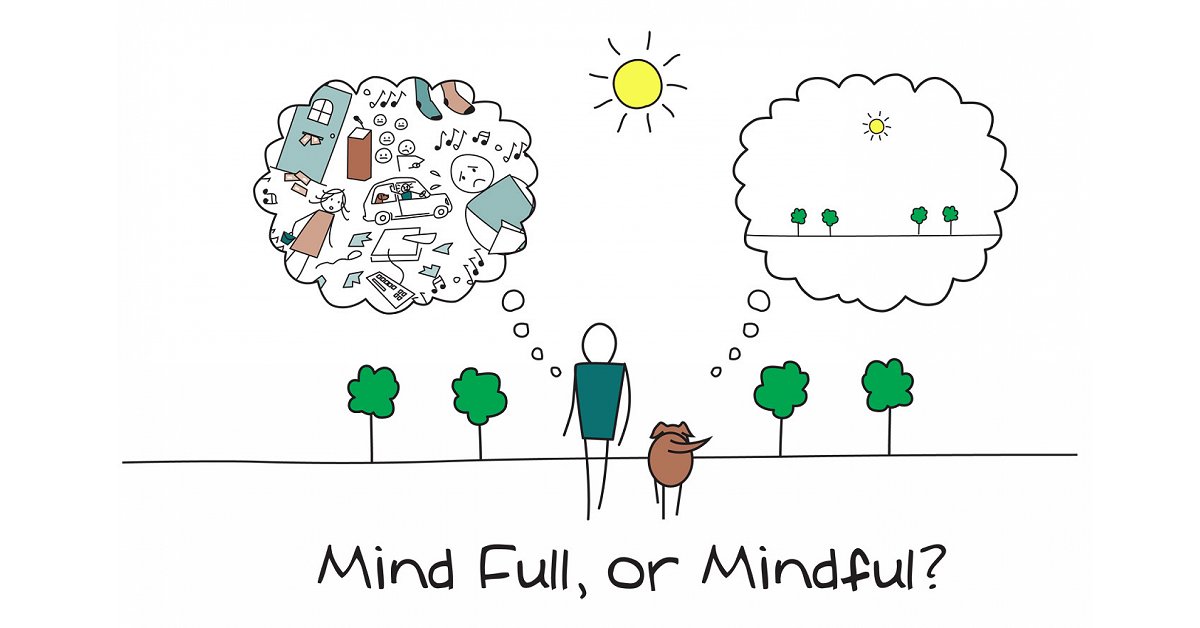 36 Jon Kabat-Zinn Quotes (MINDFULNESS)